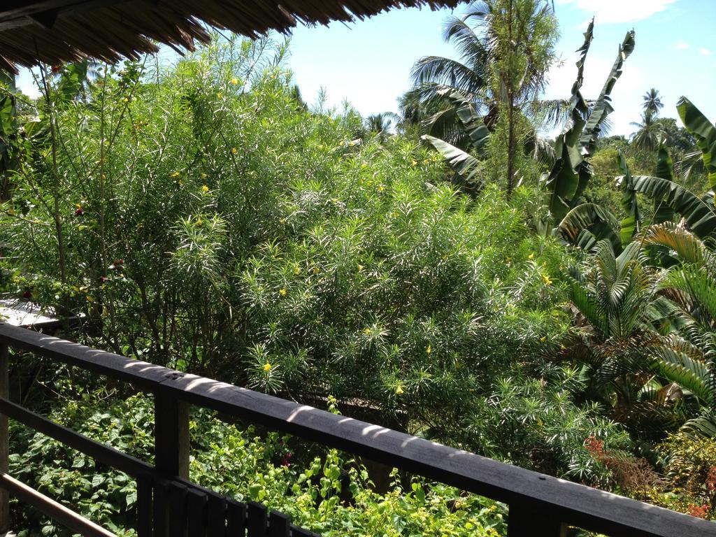 Guesthouse The 4 Fish Manado Room photo