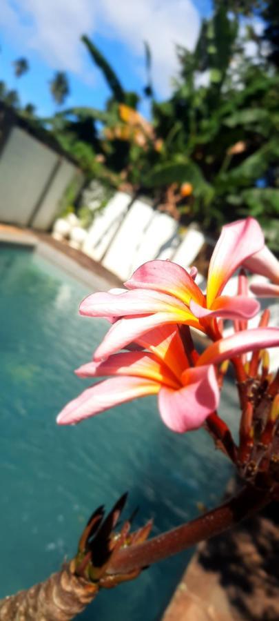 Guesthouse The 4 Fish Manado Exterior photo
